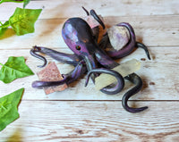 Custom Listing fot Kerry Octopus & Mirror